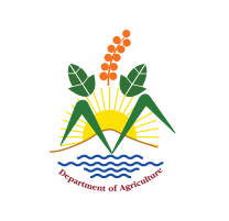 OP1 Black Tea by Mevlana Ceylon Tea